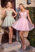 Floral Embroidered Tulle A-Line Mini Dress with Sheer Corset Bodice